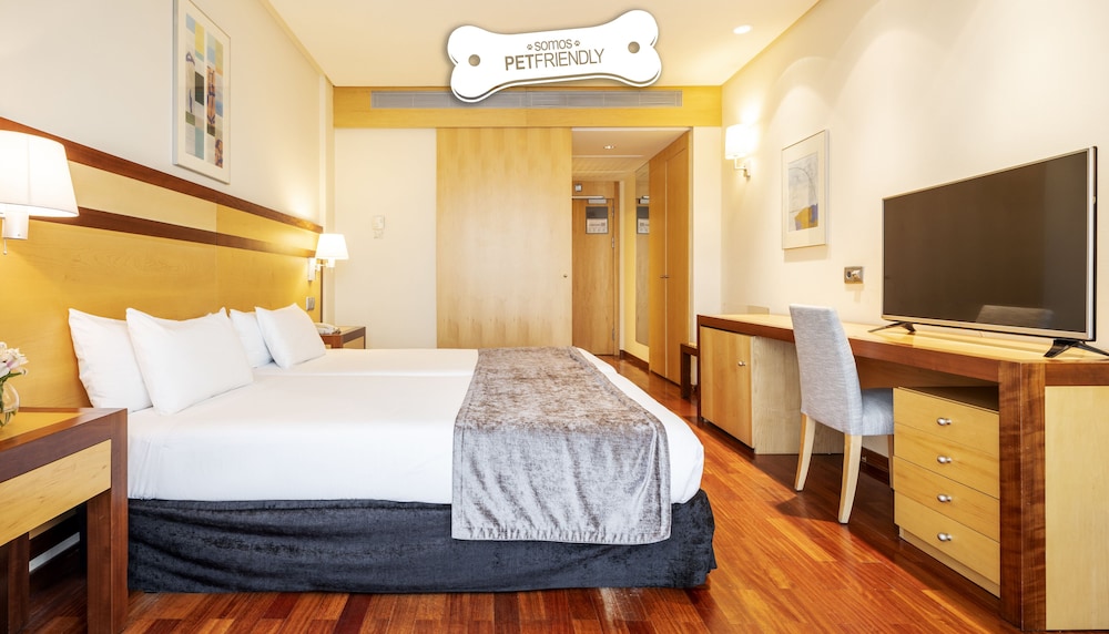 Hotel ILUNION Pío XII 22