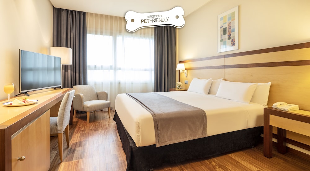 Hotel ILUNION Pío XII 23
