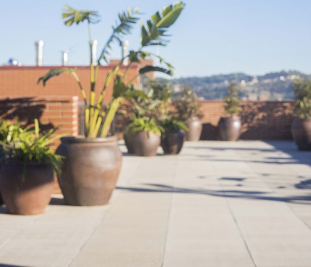 Hotel Terrassa Confort 18