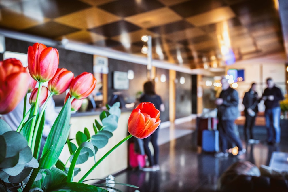 Best Western Plus Hotel Alfa Aeropuerto 6