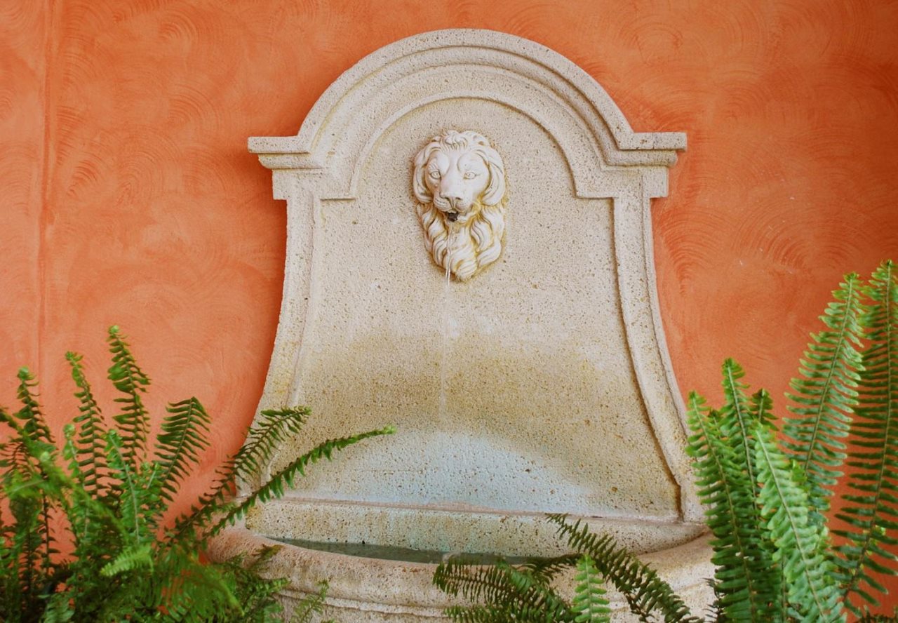Quinta de los Cedros 6