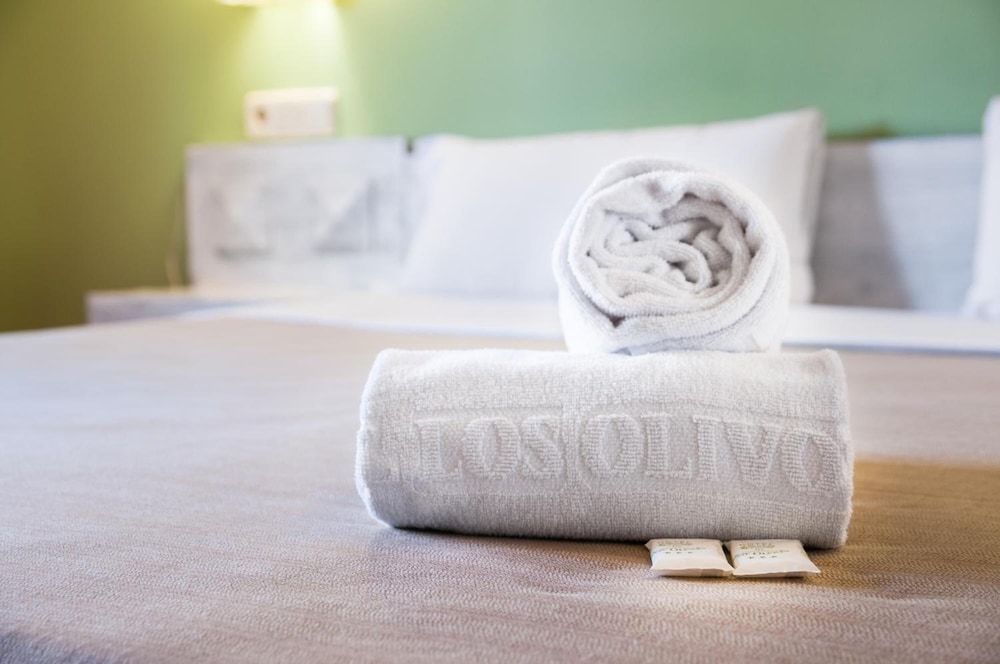 Hotel Los Olivos 13