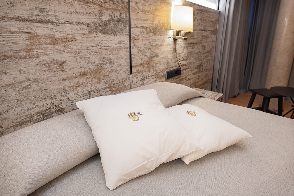 Hotel Palau De Girona 11