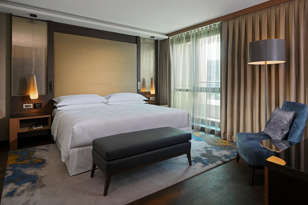 Sheraton Grand Tbilisi Metechi Palace 19