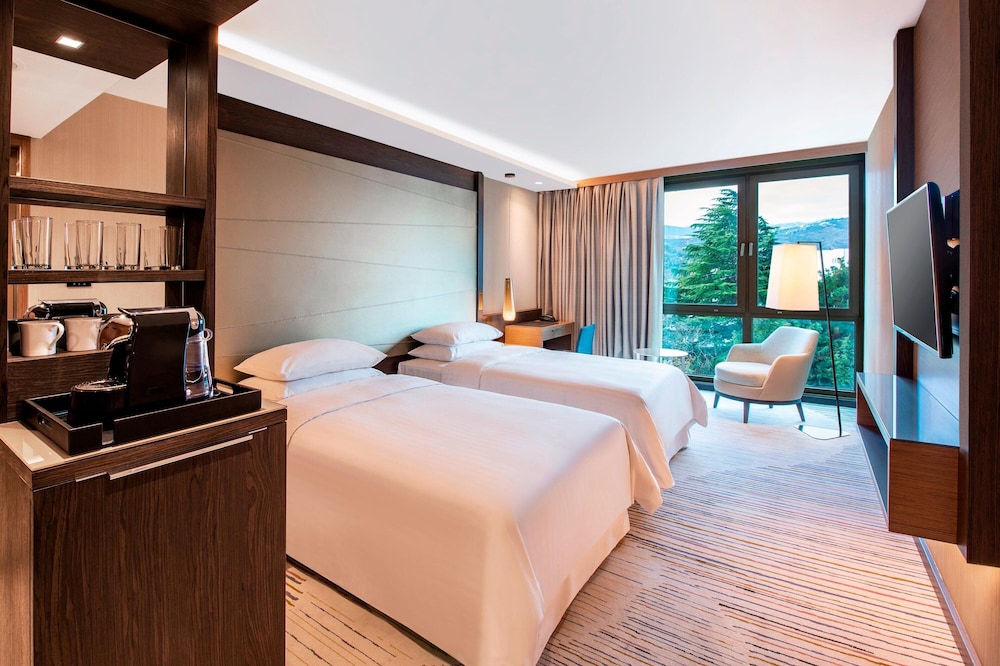 Sheraton Grand Tbilisi Metechi Palace 24