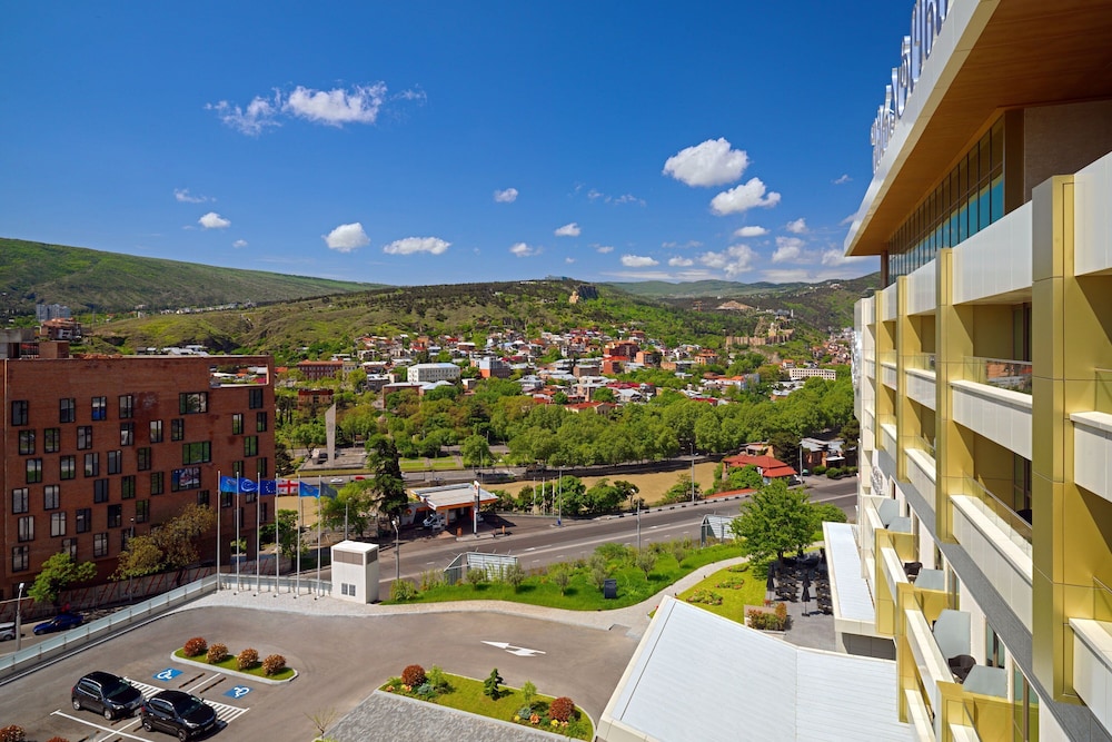 Sheraton Grand Tbilisi Metechi Palace 18