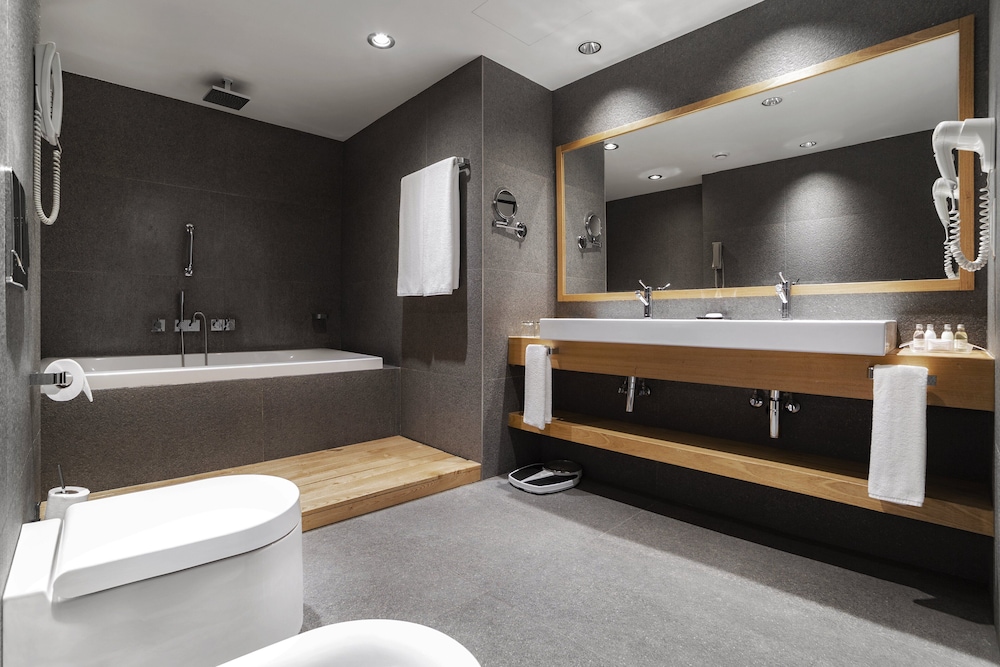 Holiday Inn Tbilisi 9