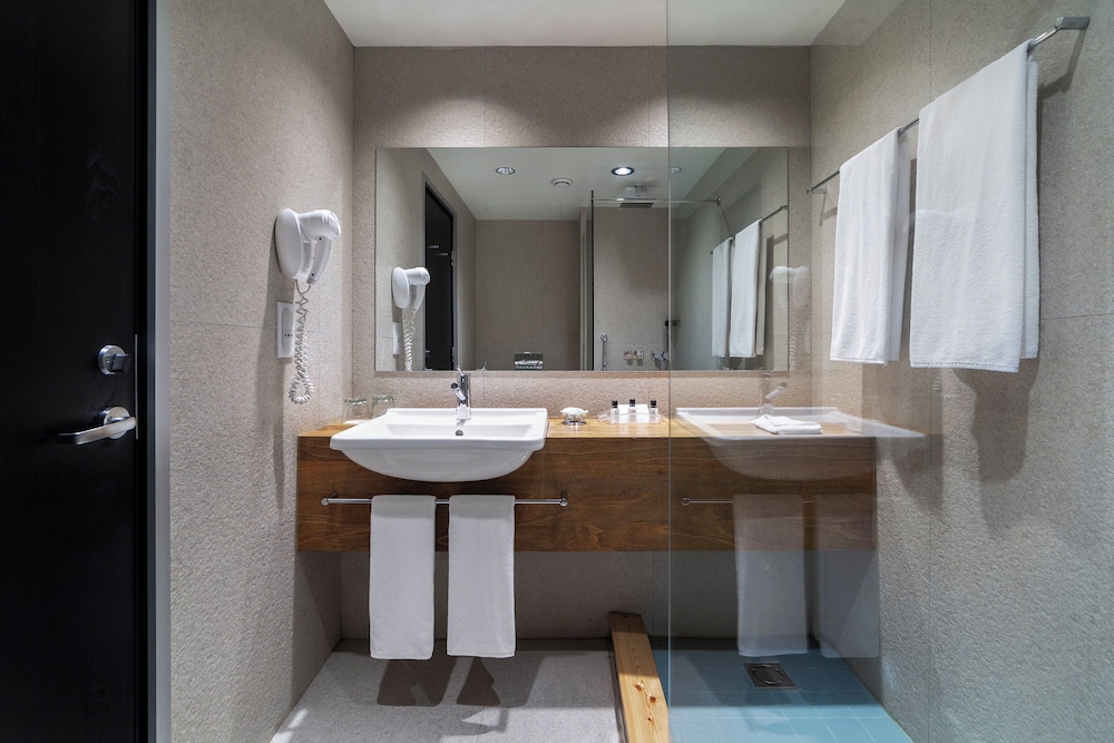 Holiday Inn Tbilisi 10