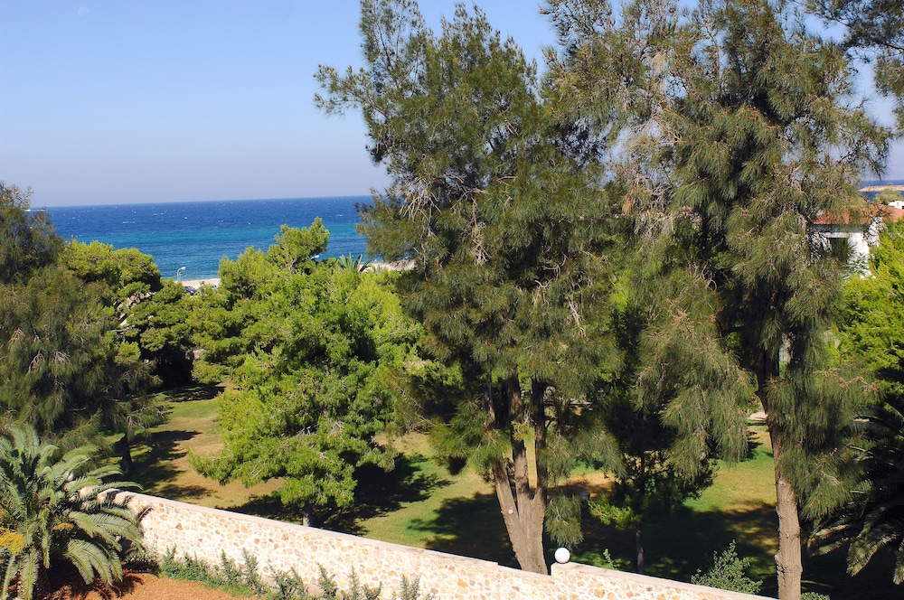 Palmyra Beach 21