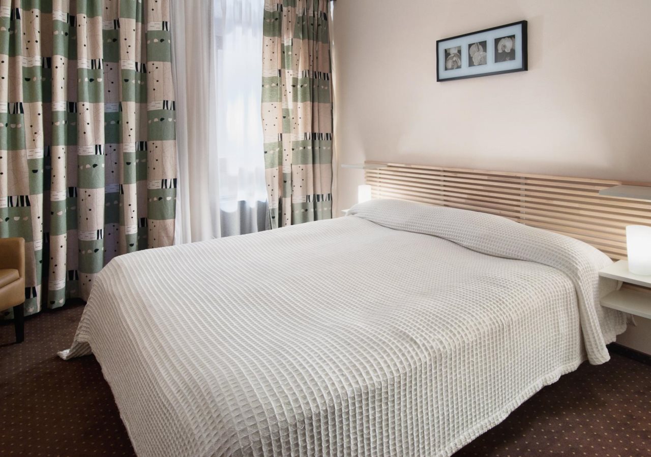 Rubin Wellness & Conference Hotel 18