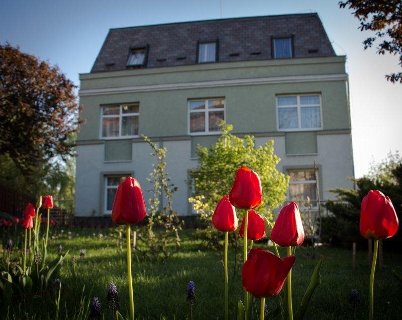 Jagello Business Hotel 23