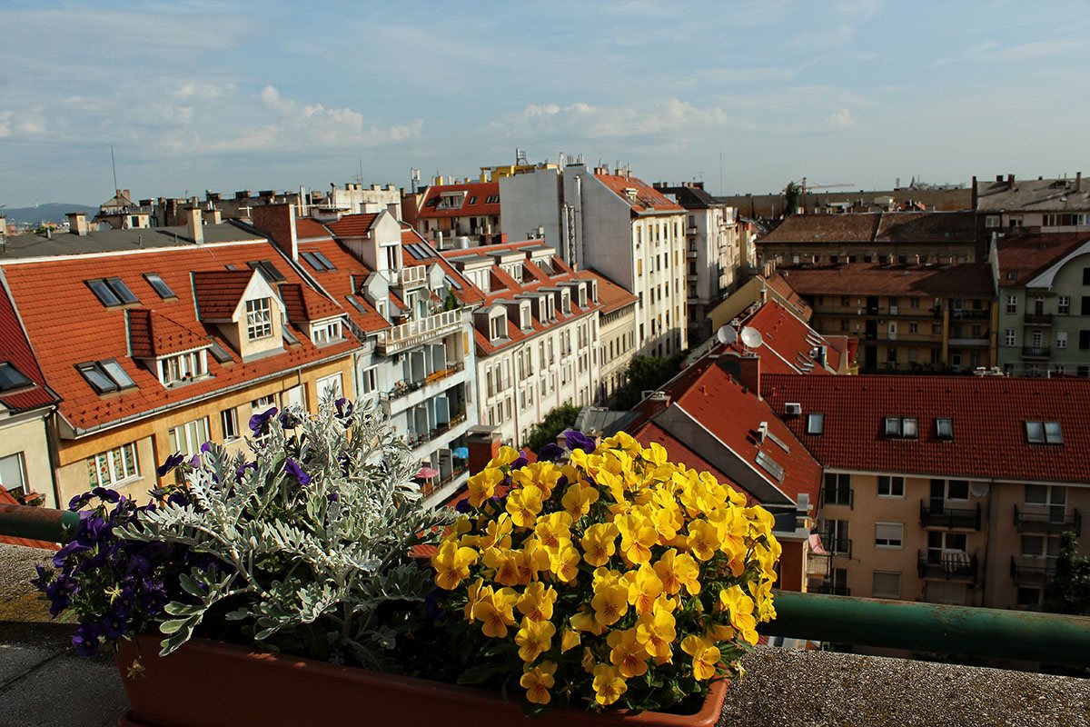 Boulevard City Guesthouse Budapest 3