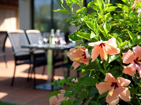 Duna Garden 8