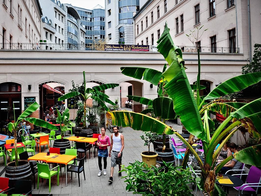 Mango Aparthotel & Spa 1
