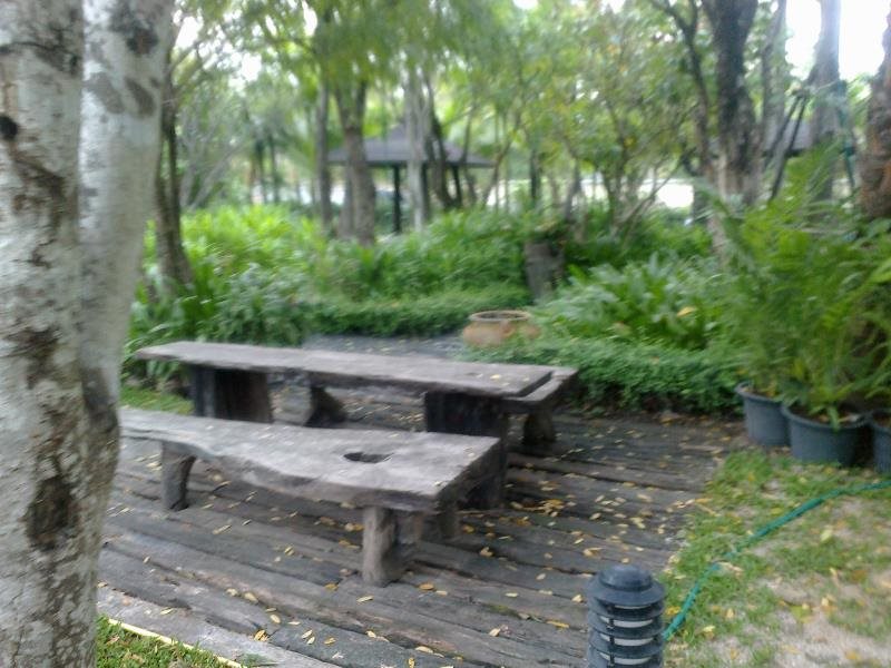 Paragon Inn 20