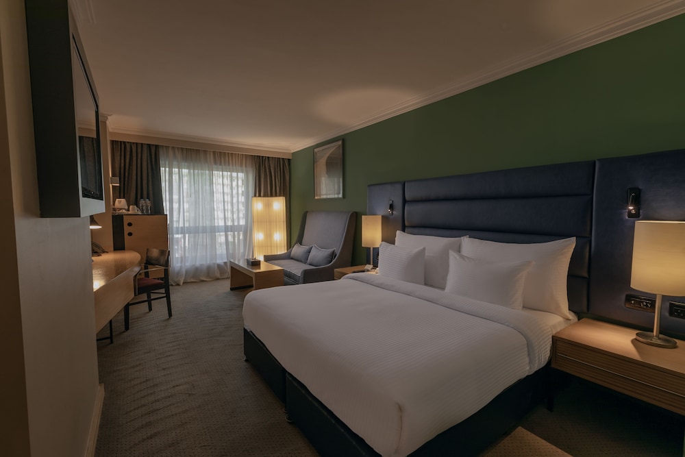 Radisson Blu Hotel, Cairo Heliopolis 17