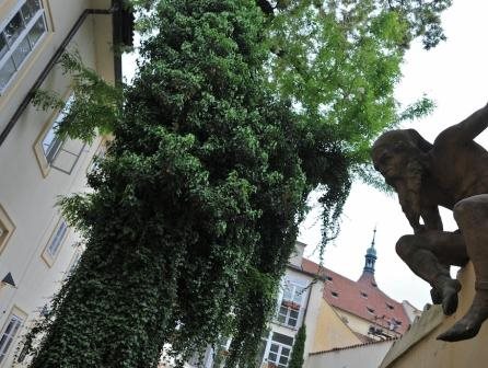 Monastery Garden Prague 9