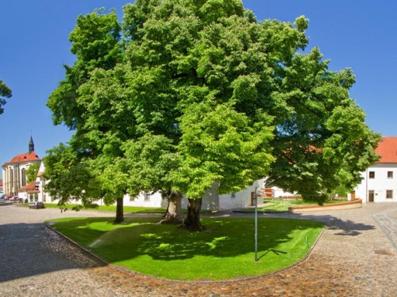 Hotel Monastery 20