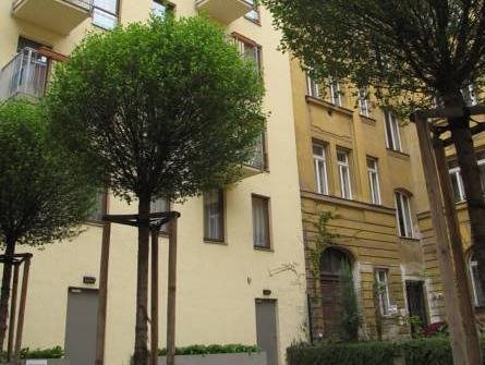 Aparthotel Austria Suites 7