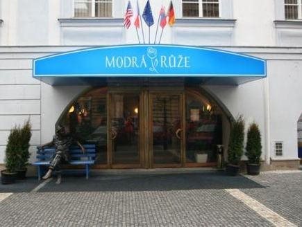 Modra Ruze 6
