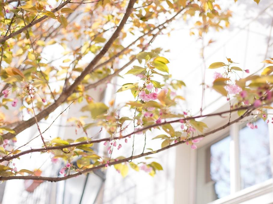 Boutique Hotel Klarov Prague 23