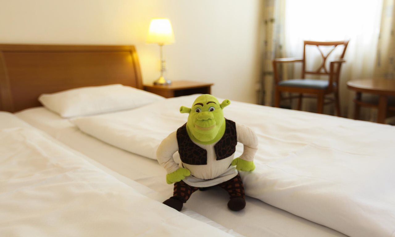 Hotel Orion 23