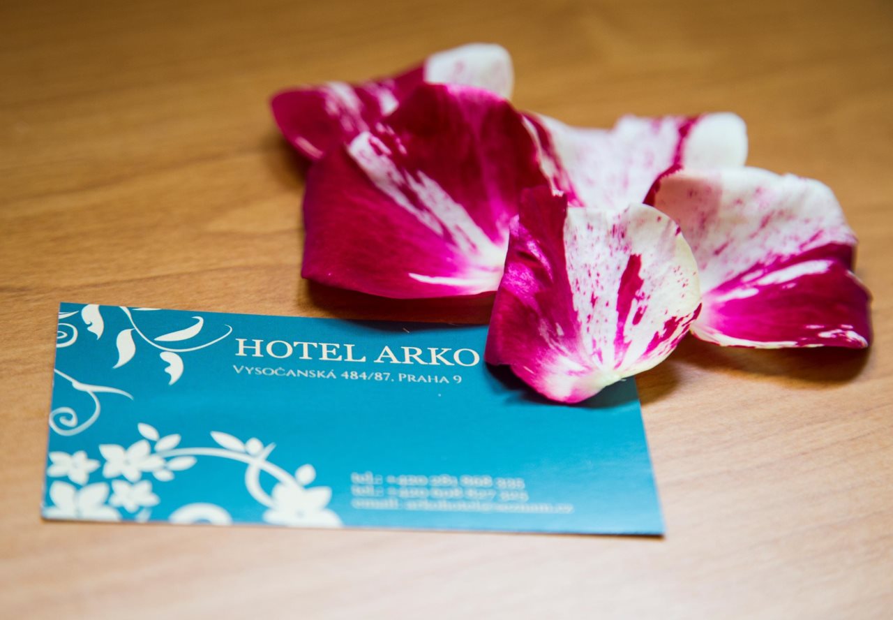 Hotel Arko 10