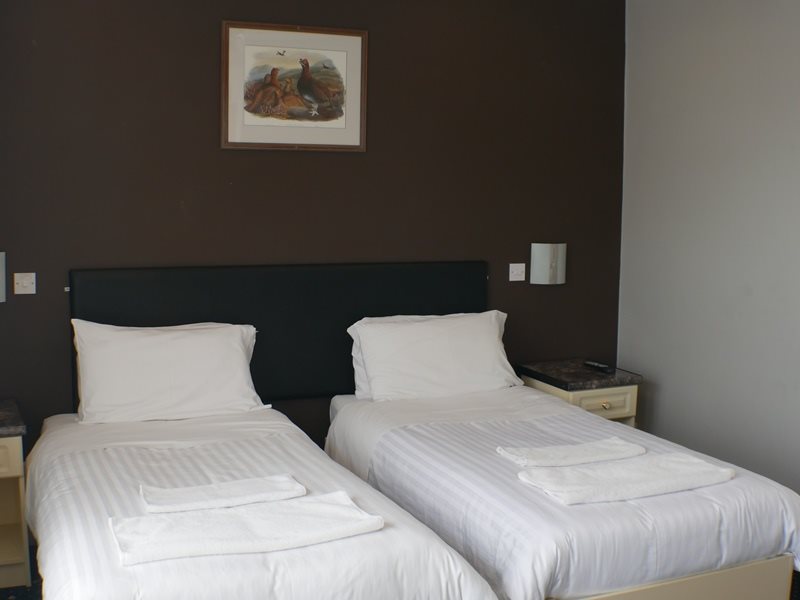 OYO Bostons Manor Hotel, Hanwell London 18