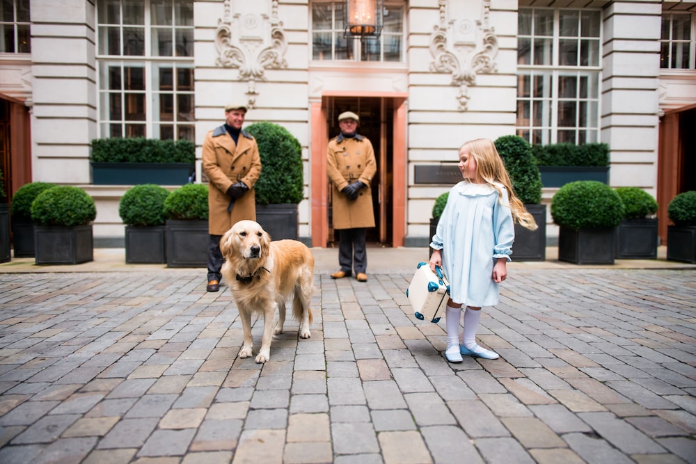 Rosewood London 5