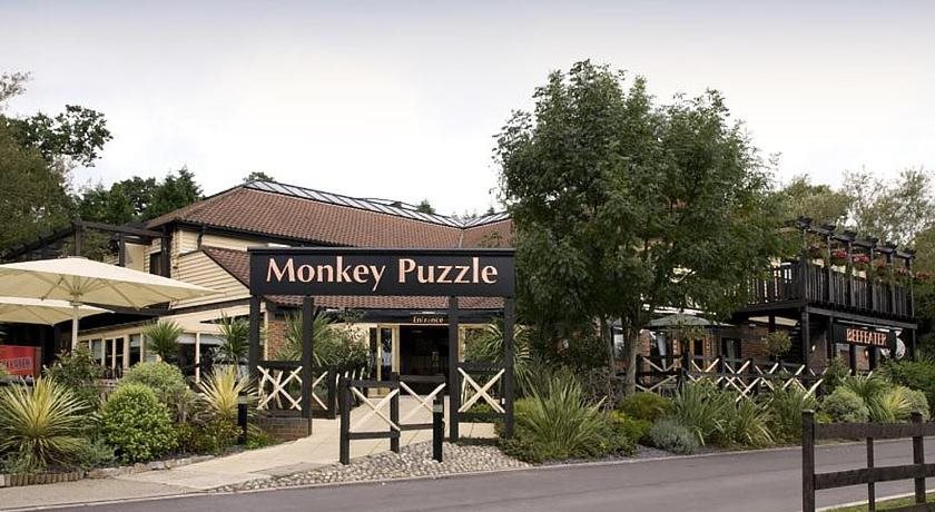 Premier Inn Chessington 20