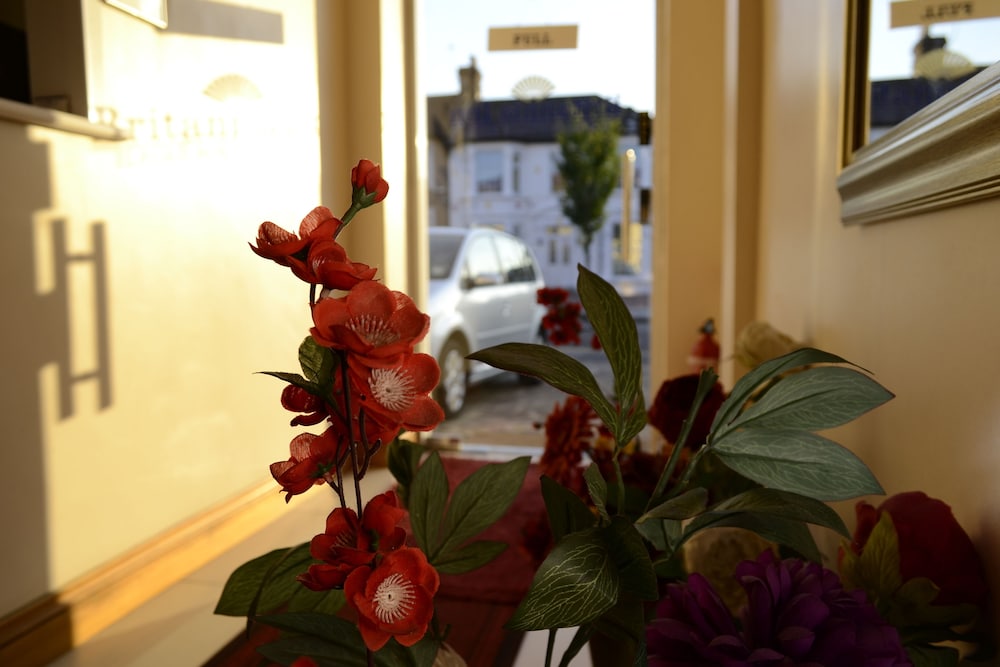 Britannia Inn 2