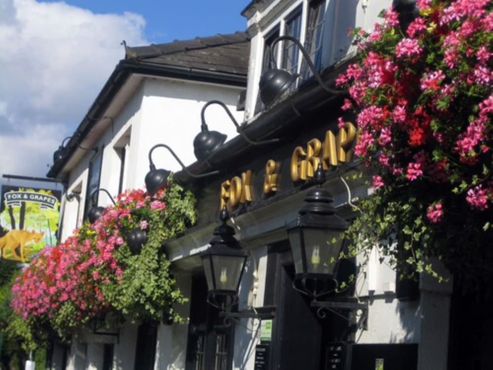 Fox and Grapes 18