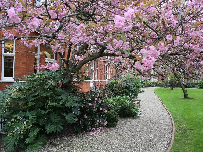 The Chelsea Townhouse 12
