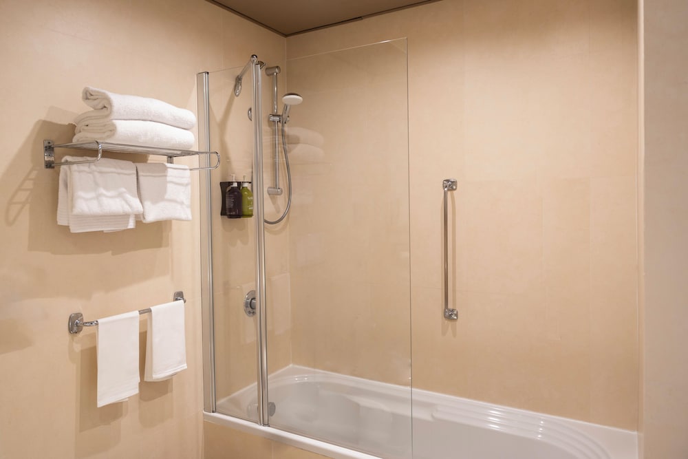 Holiday Inn Rome Eur Parco dei Medici 17