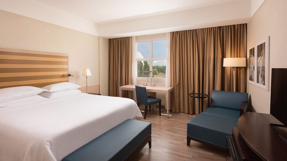 Sheraton Parco de' Medici Rome Hotel 4