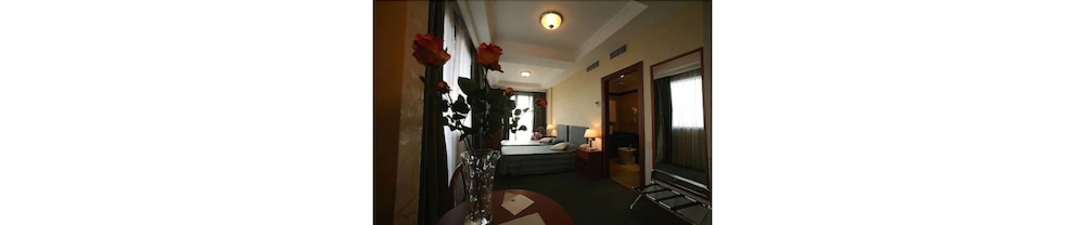 Hotel President Pomezia 12