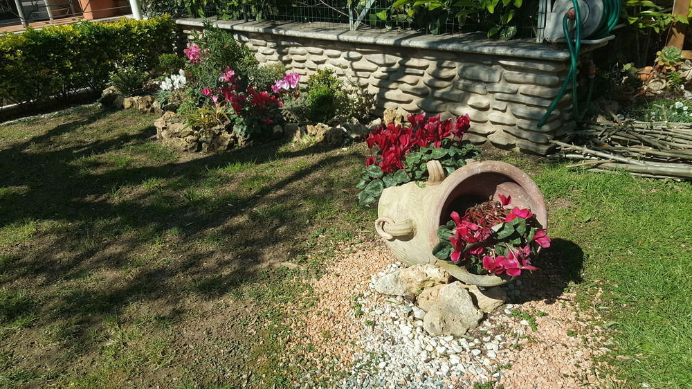 Aurelia Garden Gold Bed & Breakfast 18