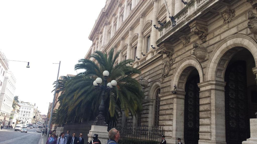 Monti First 20