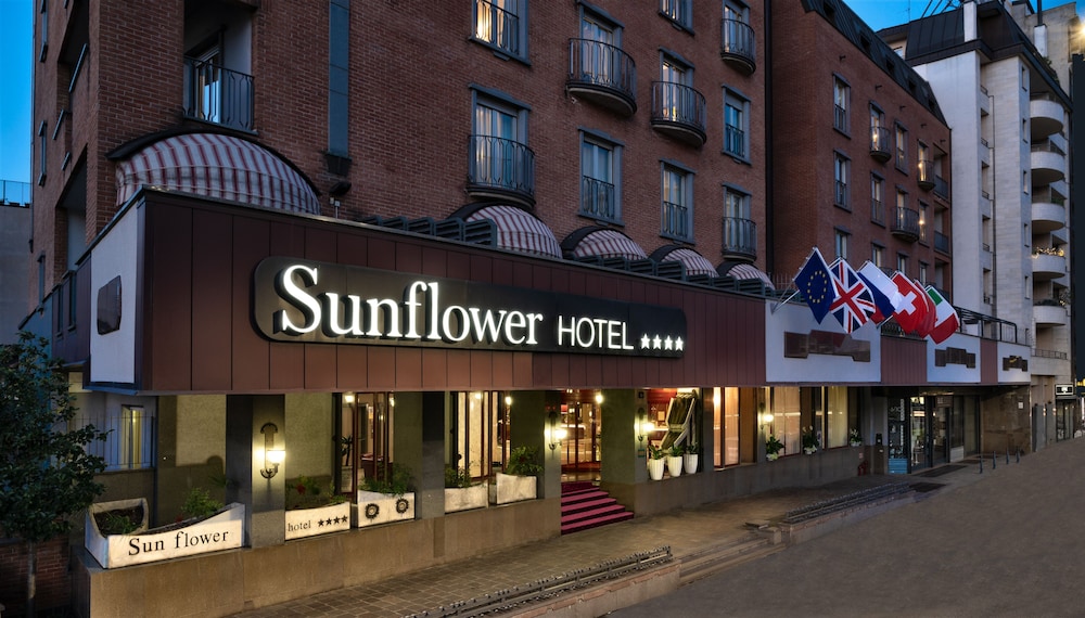 Sunflower 18