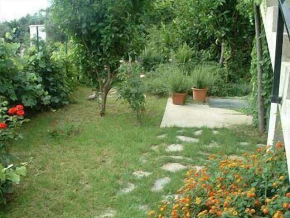 Giardino dei Limoni 14