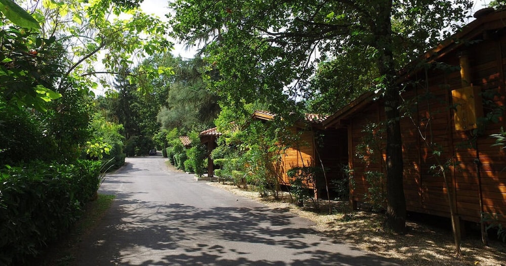 Seven Hills Village 19