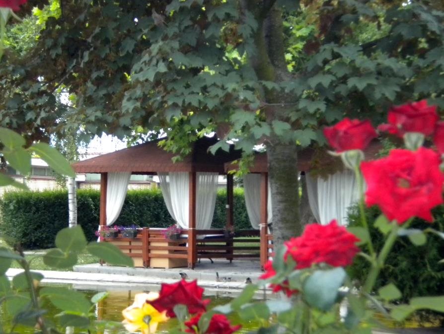 Hotel Bellevue 7