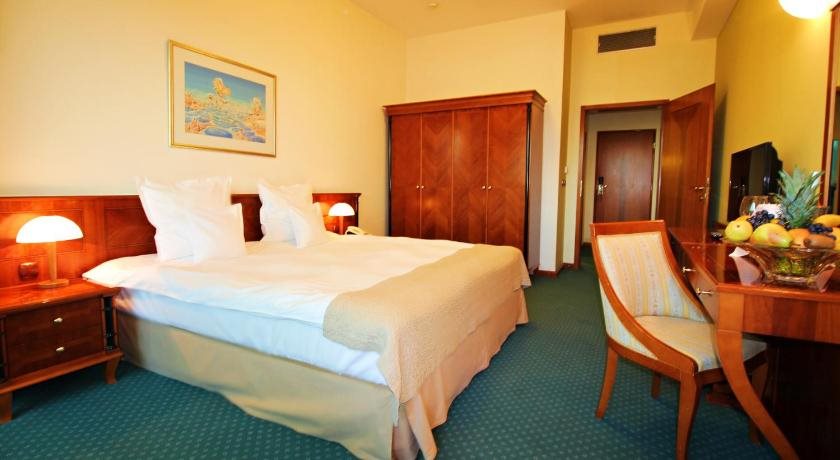 Hotel Aleksandar Palace 16