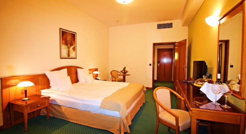Hotel Aleksandar Palace 21