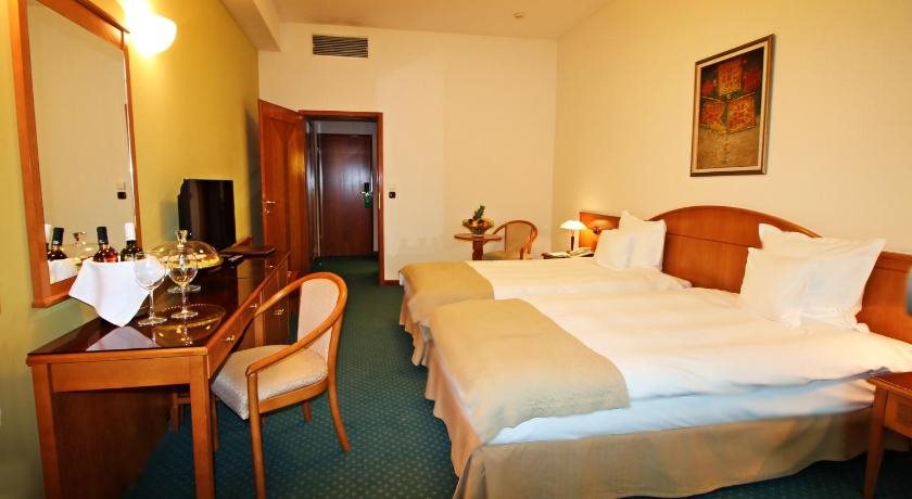 Hotel Aleksandar Palace 22