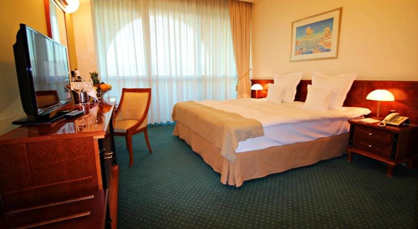 Hotel Aleksandar Palace 5