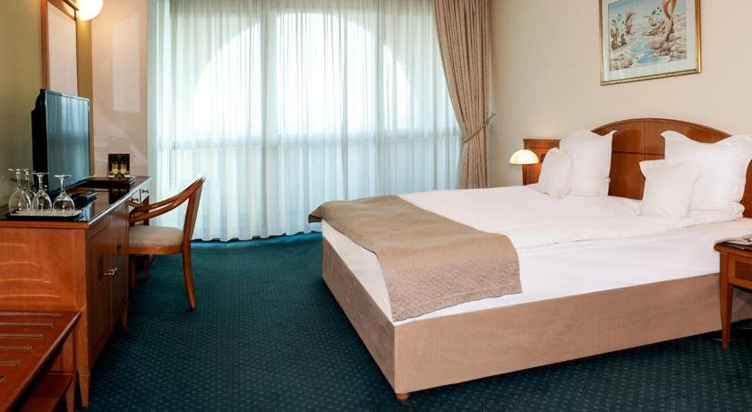 Hotel Aleksandar Palace 8