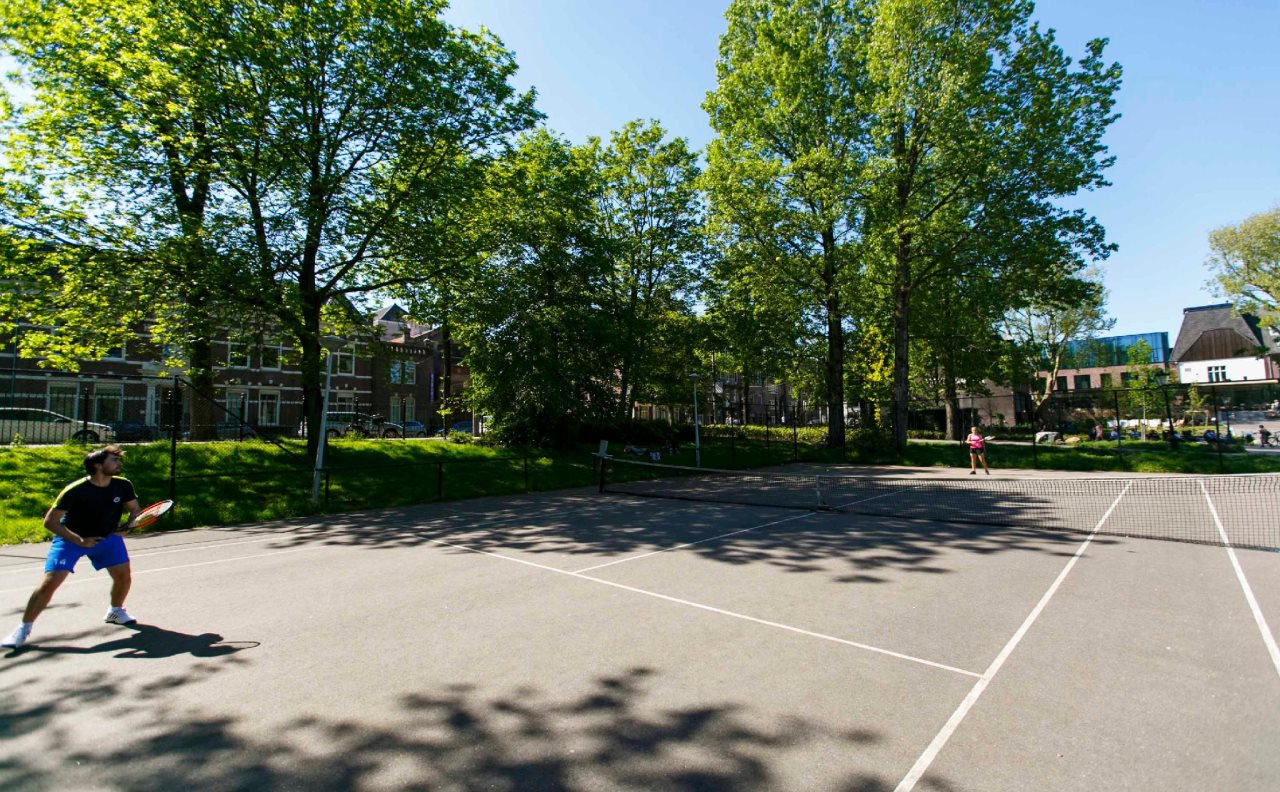 Arena 19