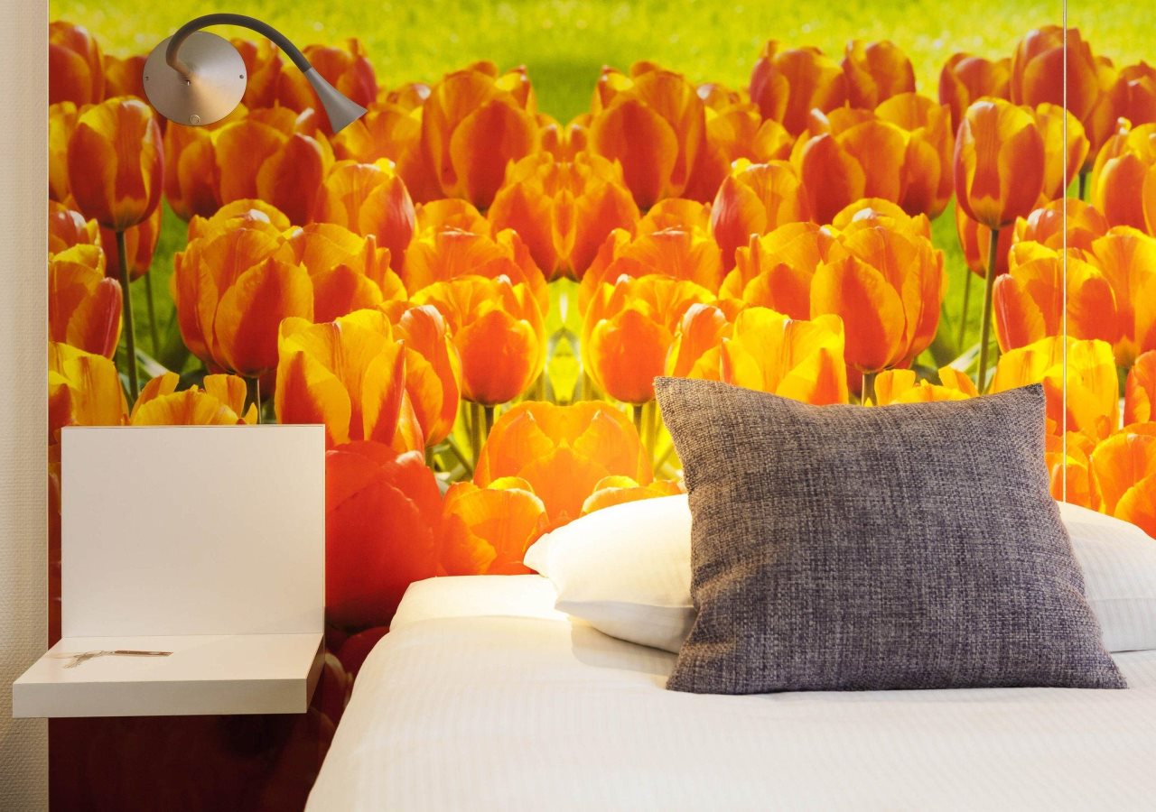 Ibis Styles Amsterdam City 9