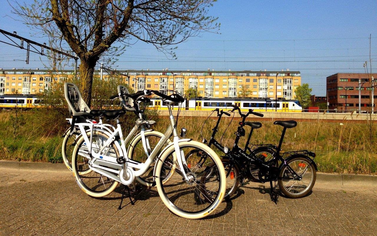 Best Western Zaan Inn 17